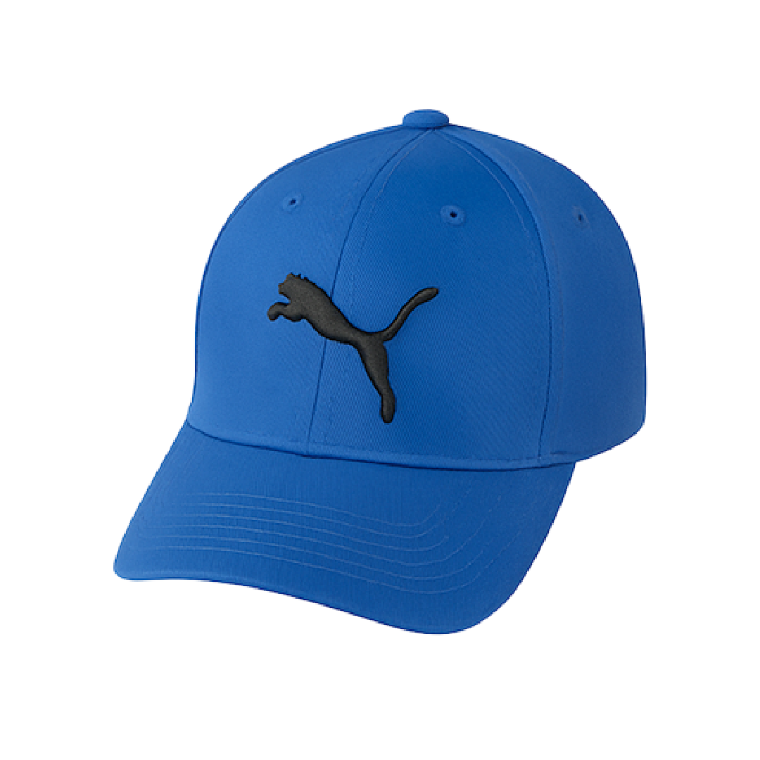 Puma color azul